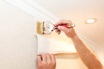 Pose de papier peint à Mesnil-Roc'h — revêtements muraux et toiles de verre